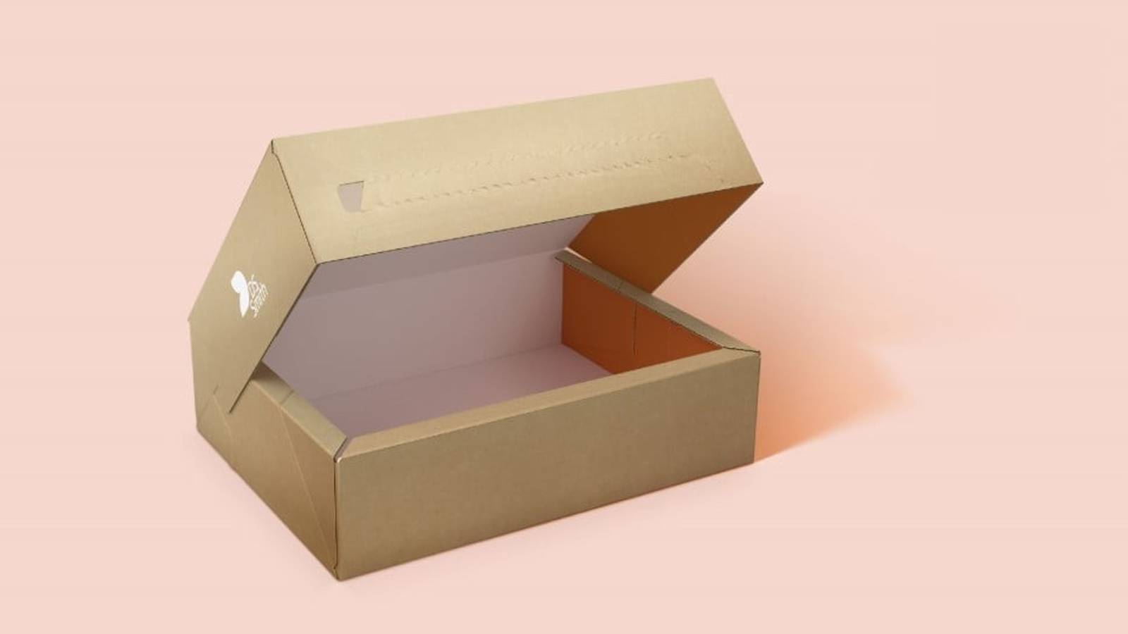 Braune Verpackung mit weißem DS Smith Logo von vorne ist halb geöffnet vor einem rosa Hintergrund.