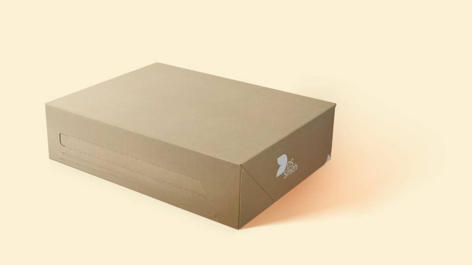 Braune Verpackung mit weißem DS Smith Logo steht geschlossen vor einem gelben Hintergrund.