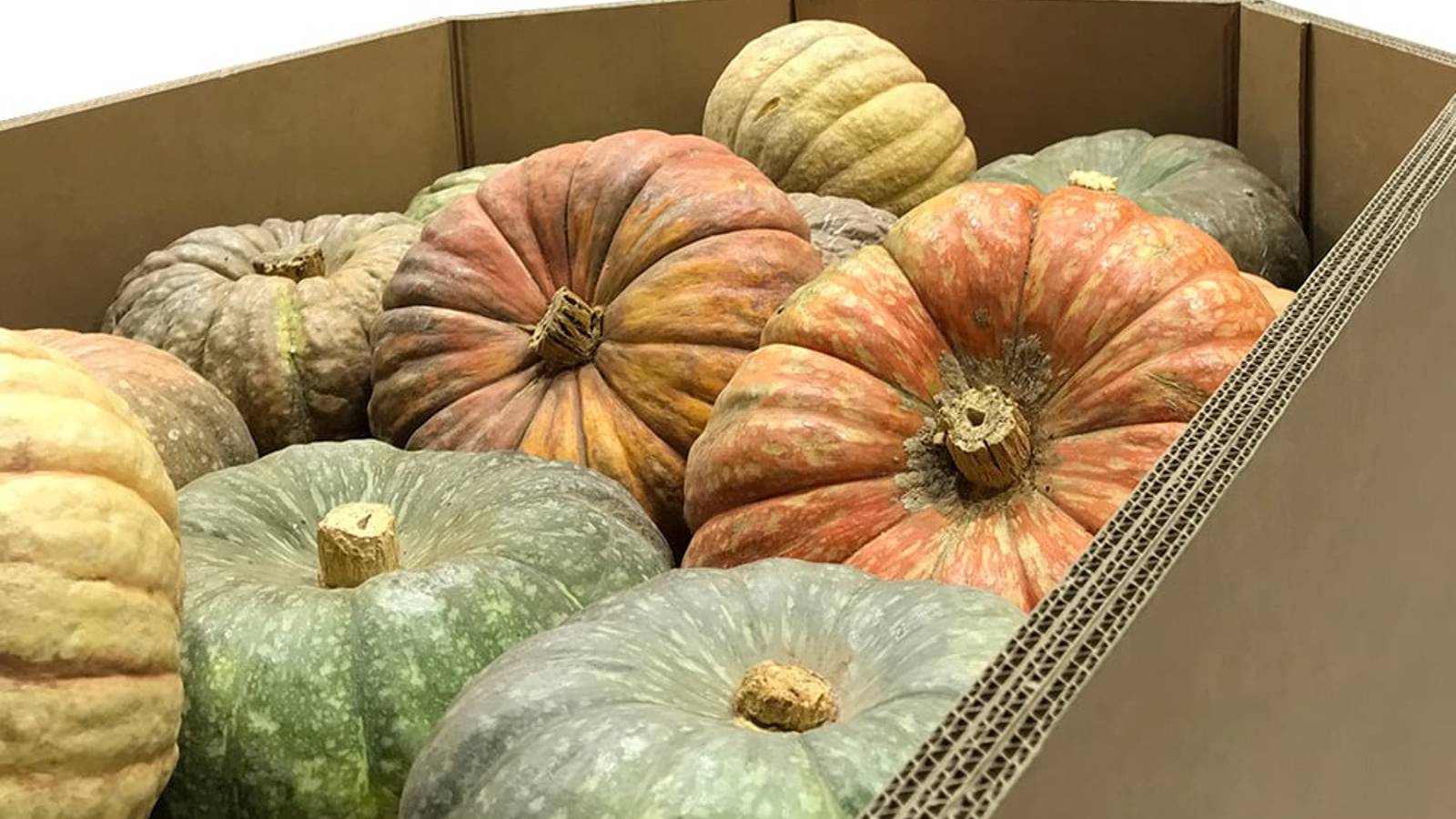 embalaje industrial octogonal soporta hasta 1000kg