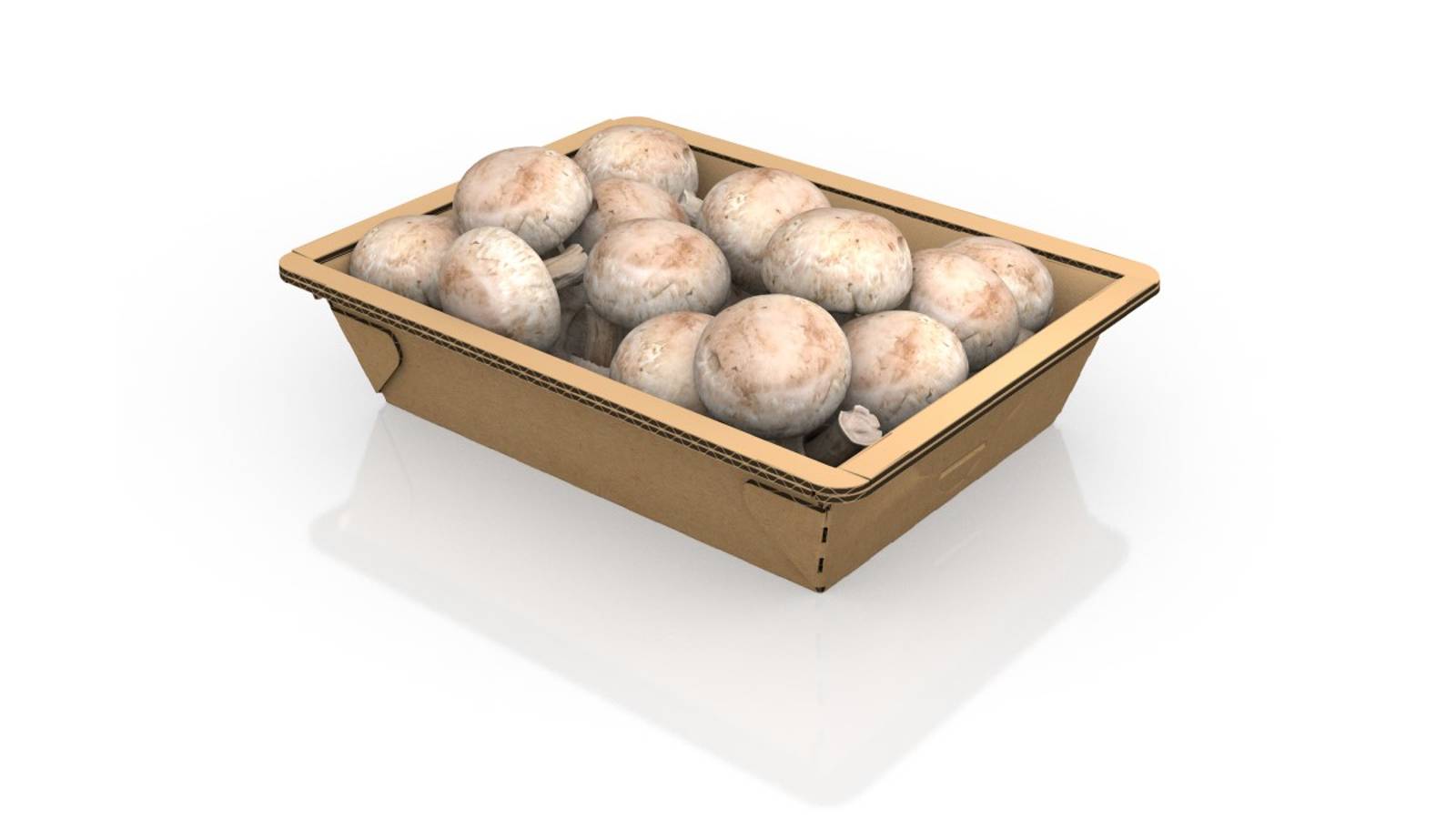Wellpappschale unbedruckt, gefüllt mit weißen Champions.