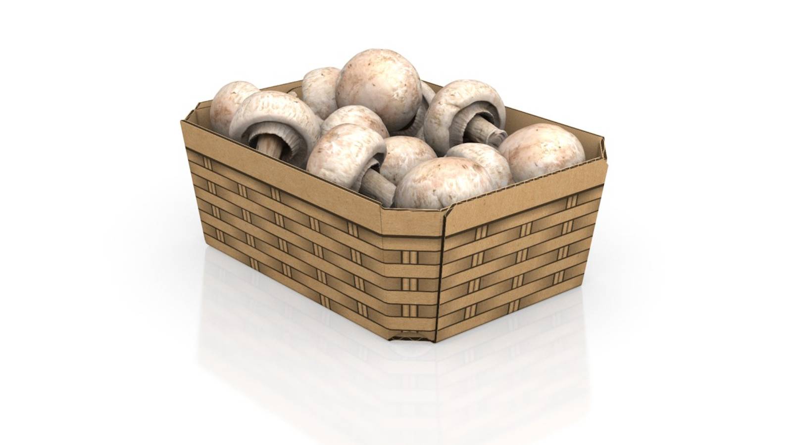 Hohe Wellpappschale bedruckt, gefüllt mit weißen Champions.