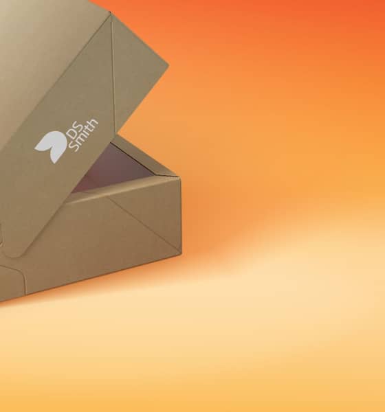 Braune Verpackung mit weißem DS Smith Logo ist halb geöffnet vor einem orange-melierten Hintergrund.