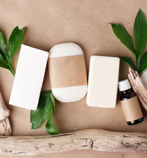 Toilettenartikel zwischen grünen Blättern.