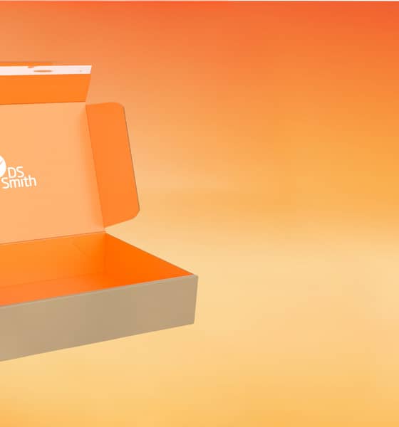 DS Smith BesPac box on orange background
