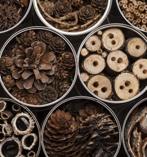 Nahaufnahme eines Insektenhotels.