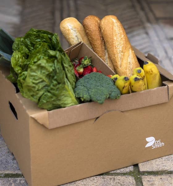 Box aus Wellpappe gefüllt mit frischem Obst und Gemüse.