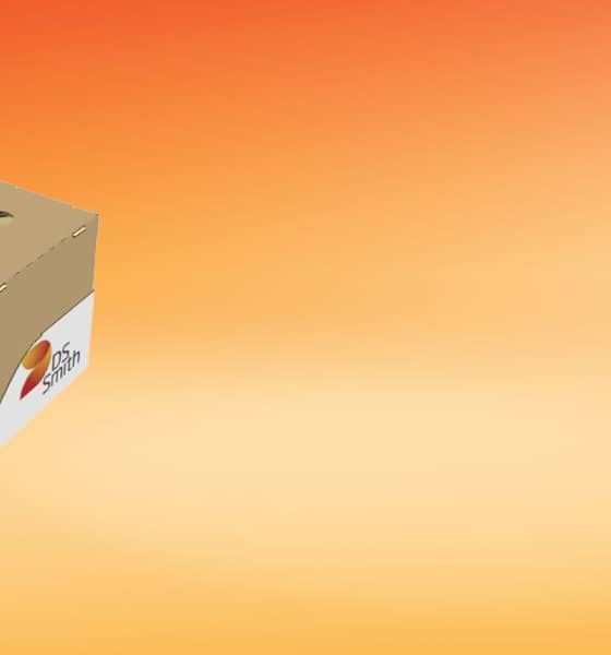 Regalverpackung mit weißem Tray mit farbigem DS Smith Logo und braunem Deckel steht vor einem orange-meliertem Hintergrund