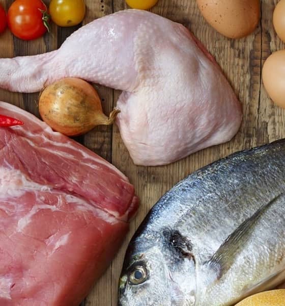 Ein Hähnchenschenkel, Fisch und Fleisch.