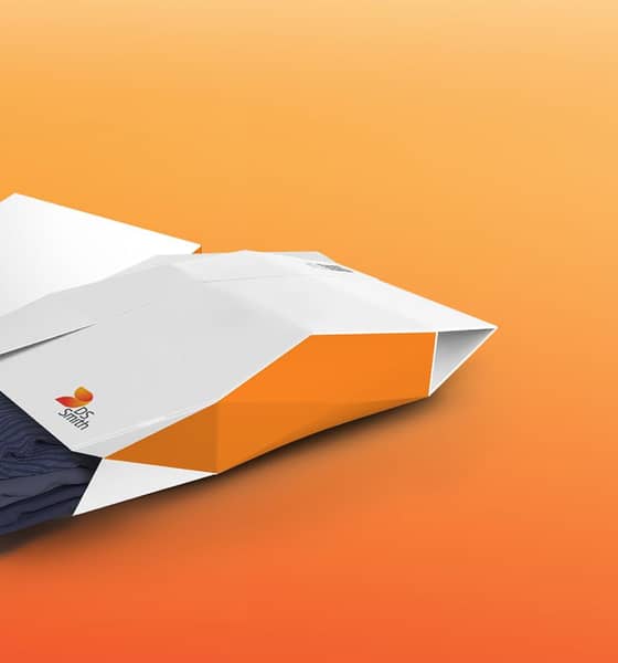 Twee kartonnen enveloppen met DS Smith logo op een oranje achtergrond