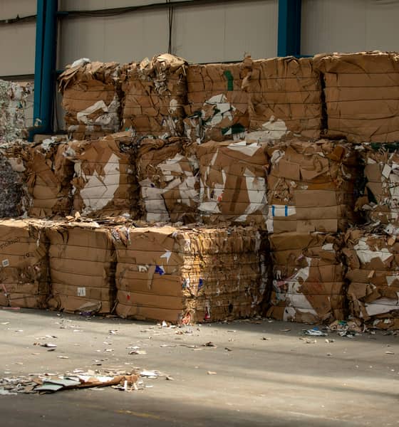 bales of cardboard recycling