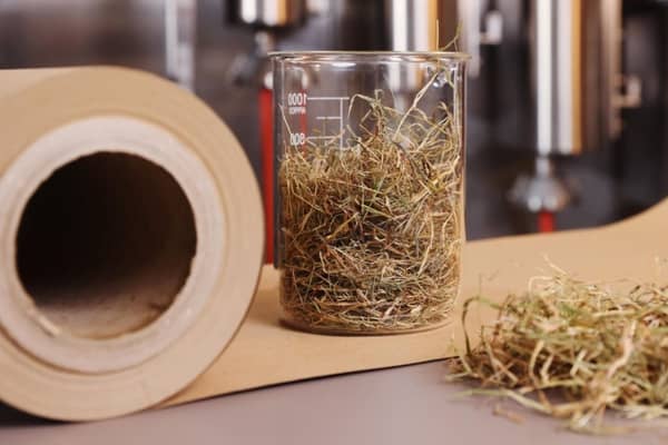 Kleine Papierrolle neben einem Reagenzglas gefüllt mit Stroh.