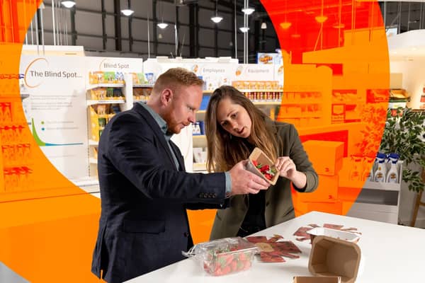 bæredygtighed cirkulær økonomi udvikling af designs