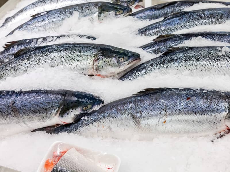 Mehrere Fische liegen auf Eis.