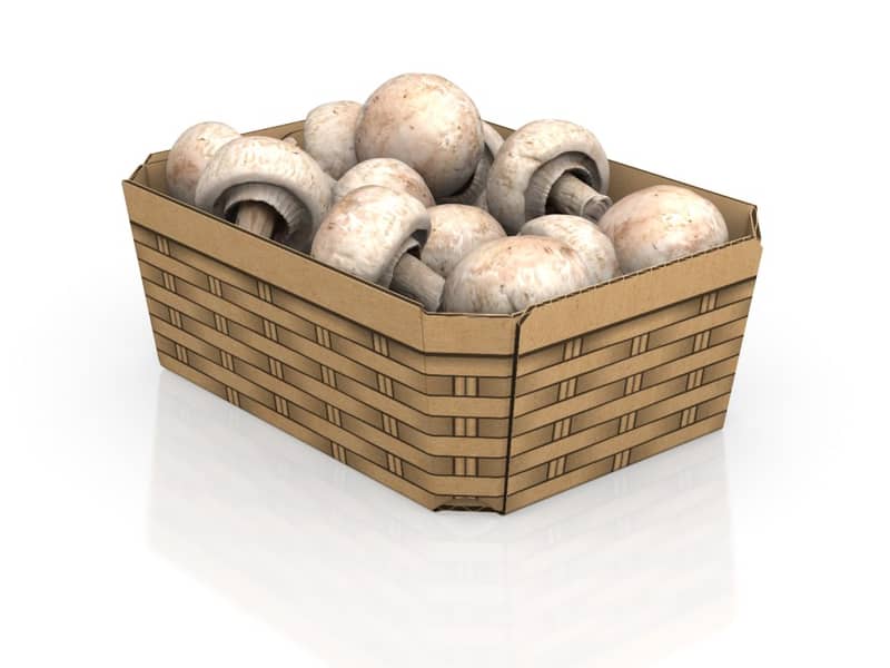 Hohe Verpackung aus Wellpappe gefüllt mit Pilzen.