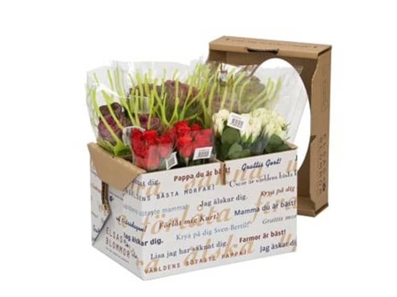 Eine geöffnete Verpackung aus Wellpappe befüllt mit bunten Blumen.