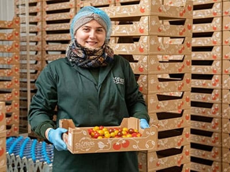 Vrouw met tomatentray in magazijn