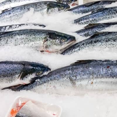 Viele Fische auf Eis liegend.