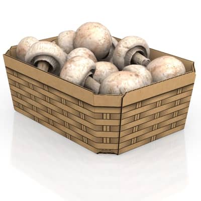 Wellpappschale bedruckt, gefüllt mit weißen Champions.