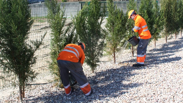 Een biodiversiteitsproject voor de aanplant van bomen in Porto, Portugal