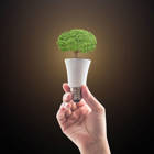 Sustainability Update 2017