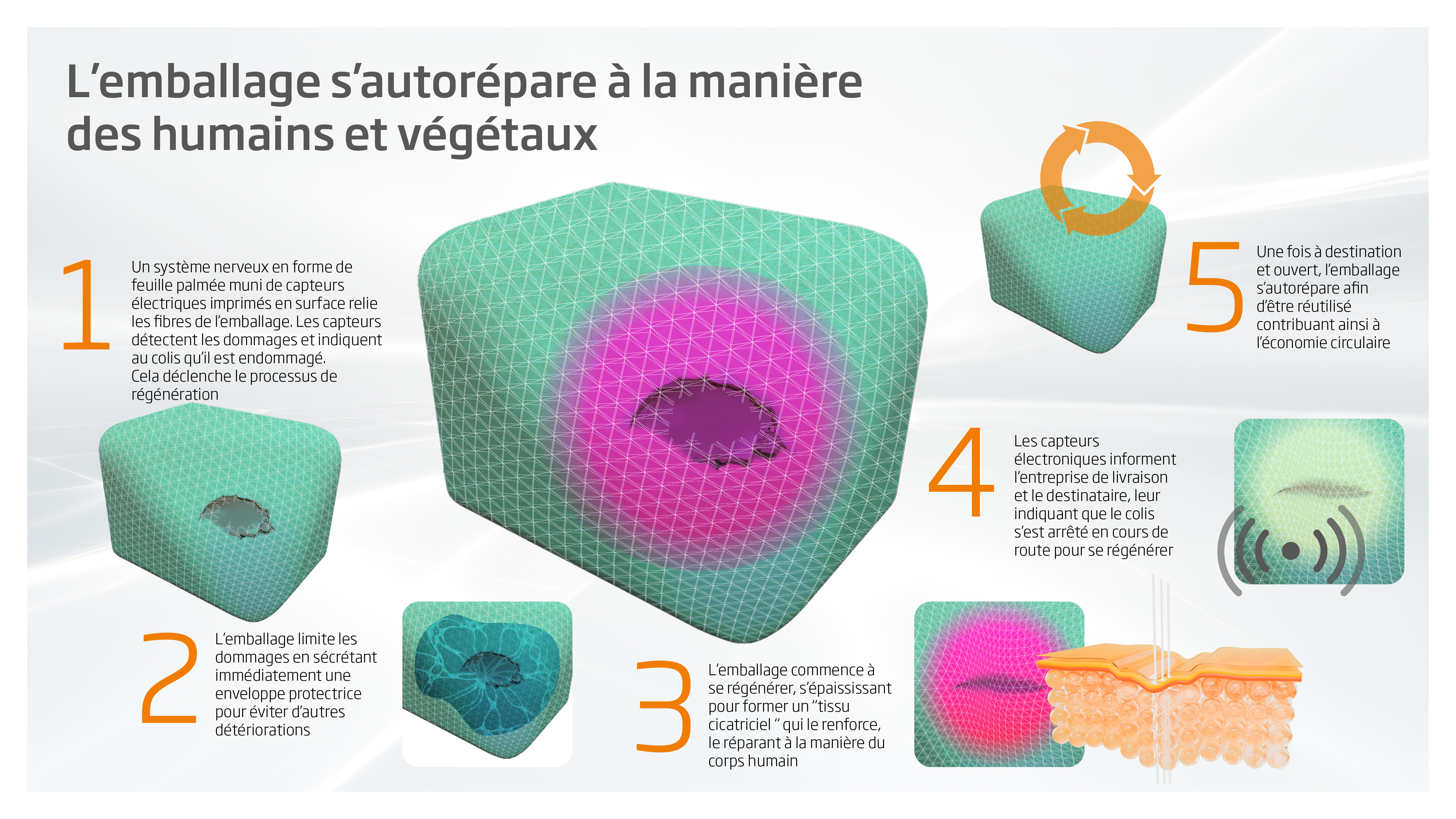 Les caractéristiques de la boîte qui s'auto-régénère