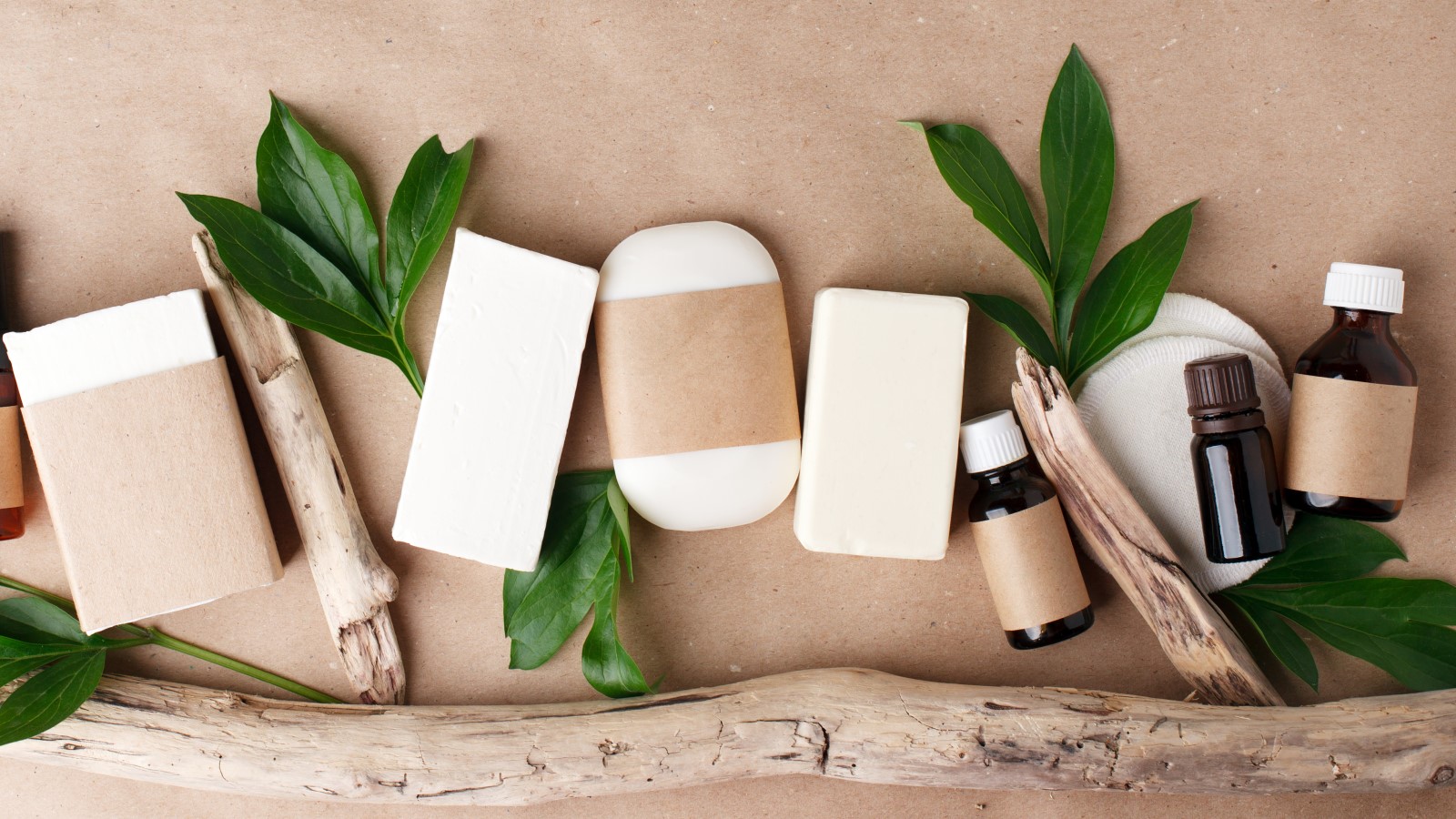 Toilettenartikel zwischen grünen Blättern.