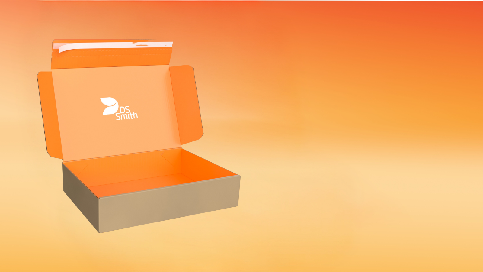 DS Smith BesPac box on orange background