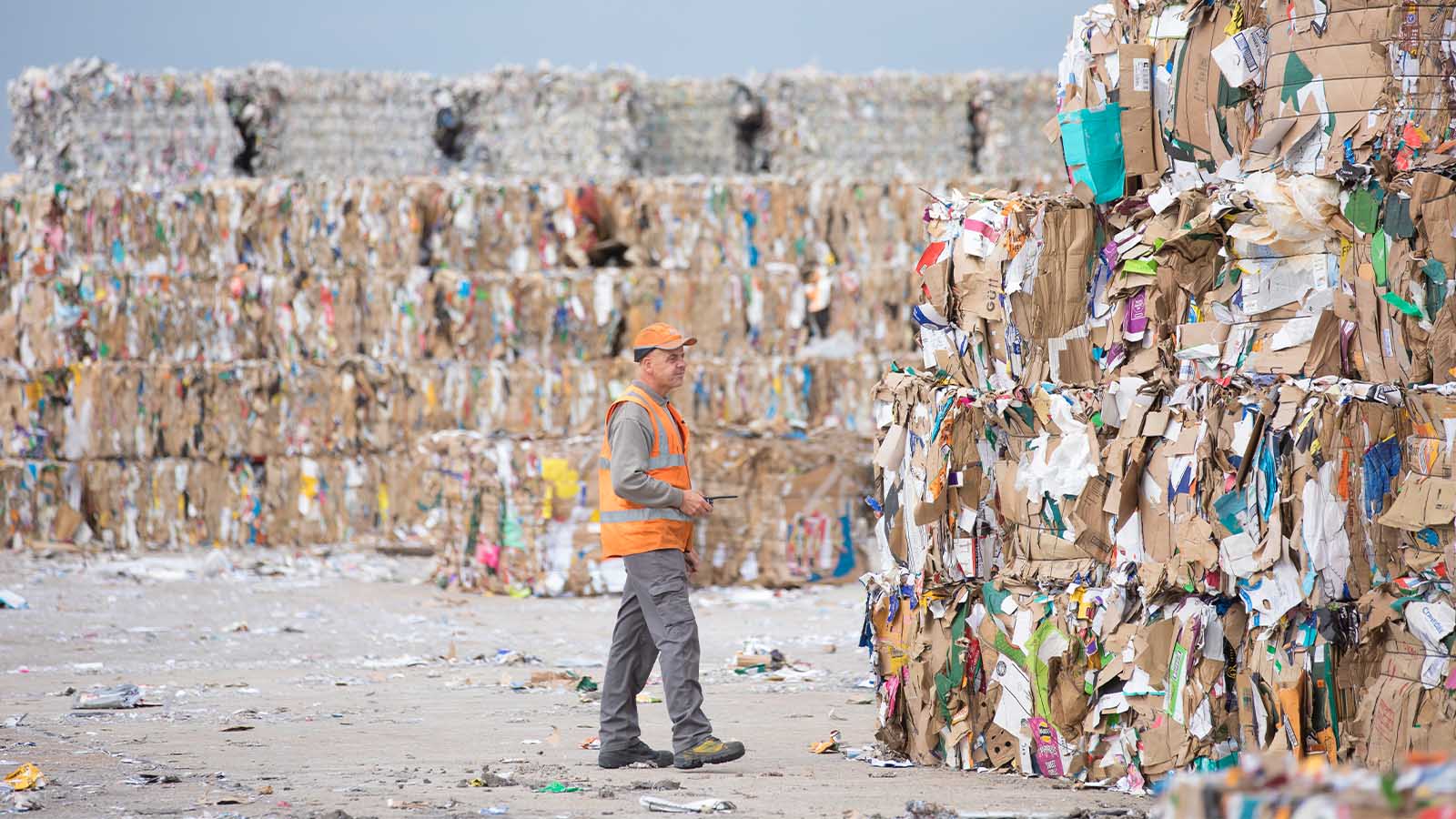 DS Smith zamelt jaarlijks 6 miljoen ton oud papier in en gebruikt zelf 5 miljoen ton om nieuw papier en karton te maken