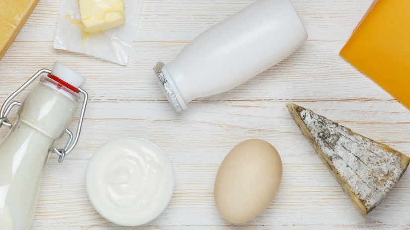 Auf einem Tisch stehen ein Ei, Milch, Käse und eine Schale Joghurt.