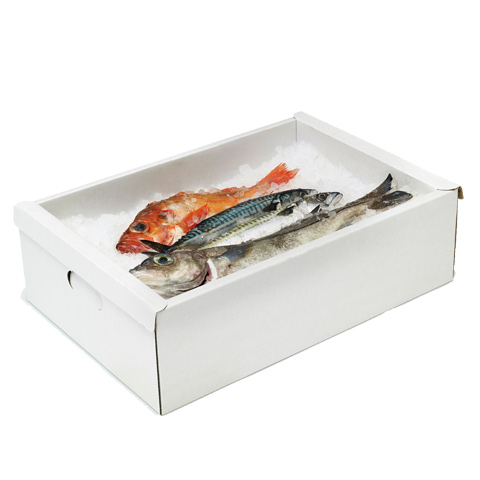 Lebensmittelverpackungen