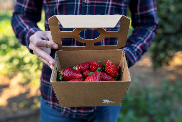 punnet.png