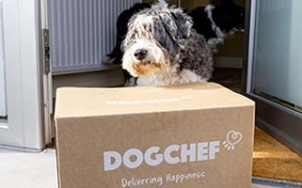 La nuova food box sviluppata per la fornitura di pappe per cani personalizzate in Benelux utilizza il 10,4% meno di cartone ed è ottimizzata per la supply chain.