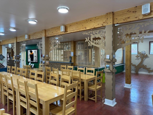 Corrugated cardboard features for YHA National Forest