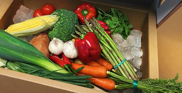 Ny klimavenlig emballage til måltidskassernes ferske dagligvarer