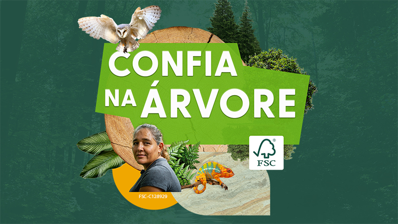 confia en el arbol pt 2.jpg