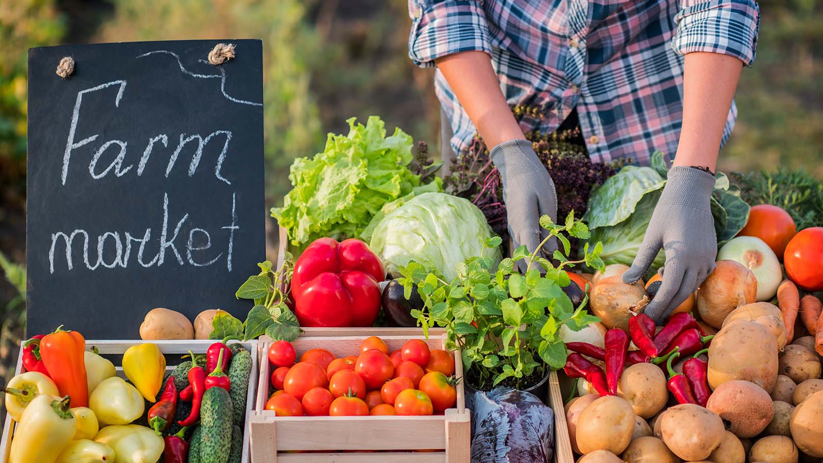 Fødevare marked med frugter og grøntsager