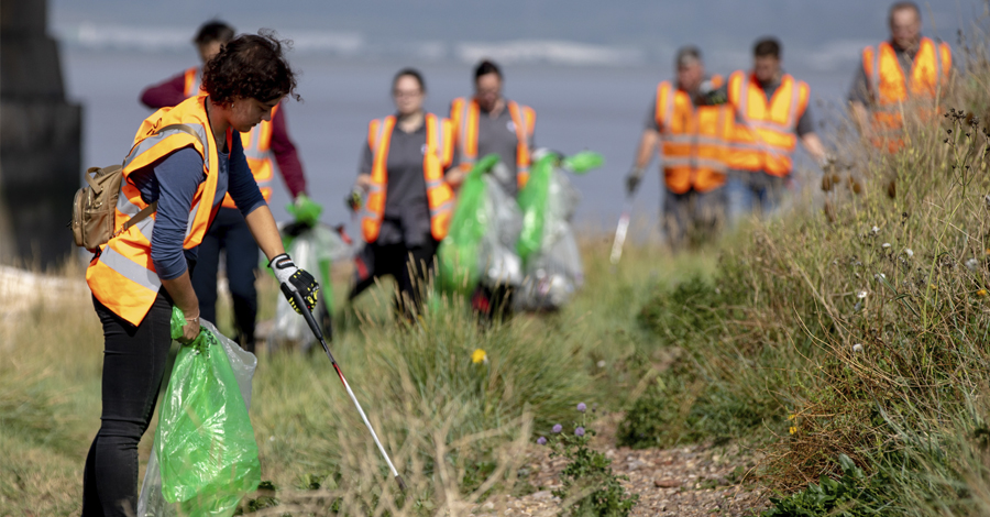 web-image-litterpick.jpg