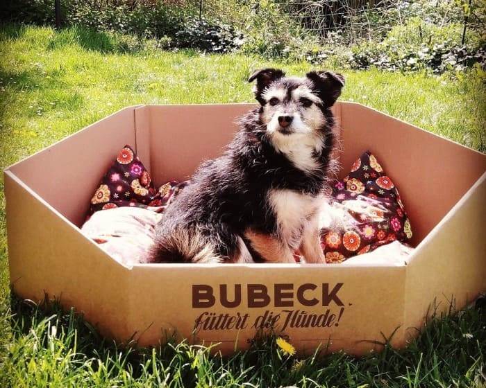 Bubeck E-Commerce-Verpackung wird zum Hundekorb: Gewinner in der Kategorie Pet Food