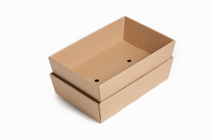 Lichtgewicht, ergonomische en 100 procent recyclebare e-commerce verpakkingen voor DHL