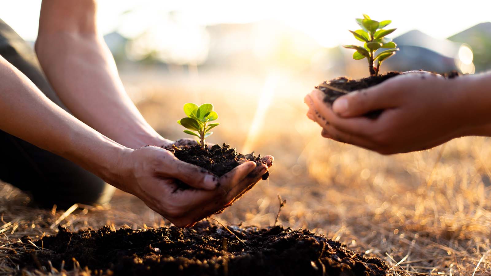 From raw material to recycling: We create packaging solutions that help you realise your sustainability ambitions and be ready for the circular economy.