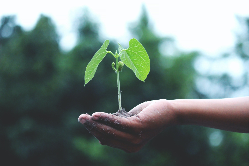 attentes environnementales