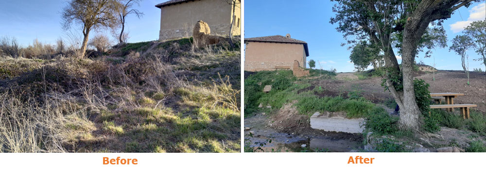 Como parte de su Programa de Biodiversidad, nuestra fábrica de papel de Dueñas en España apoyó recientemente  la recuperación de la biodiversidad y del paisaje en la comunidad local mediante la plantación de árboles autóctonos.