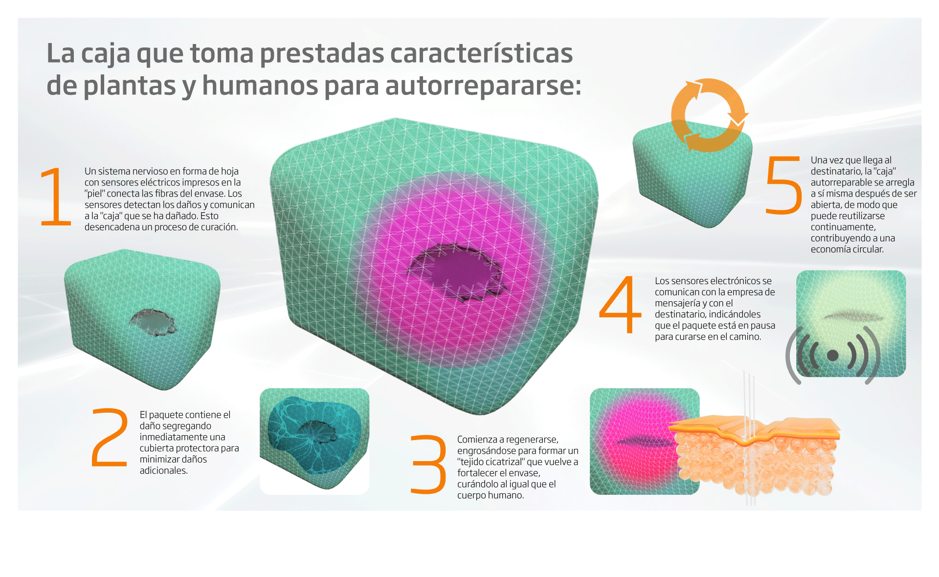 Características de la caja autoreparable
