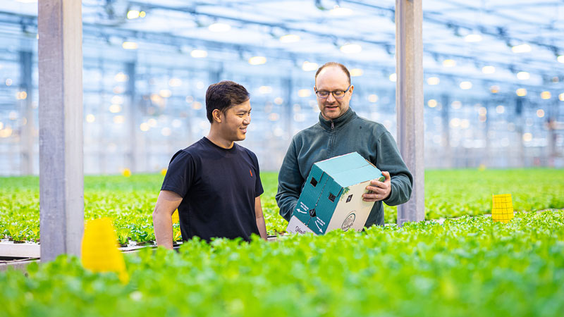 kaksi ihmistä kasvihuoneessa