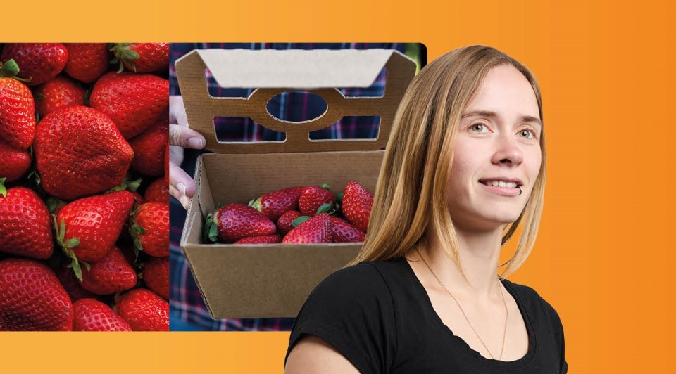 Wellpappschalen für Obst und Gemüse