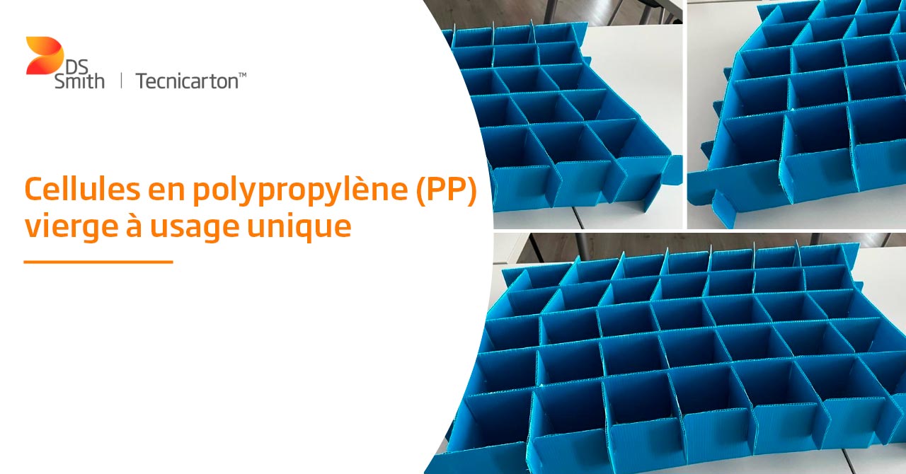 Alvéoles en polypropylène vierge à usage unique