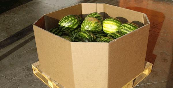 Le Heavy Duty est pour l'été: Emballaje pour les fruits de gros calibre