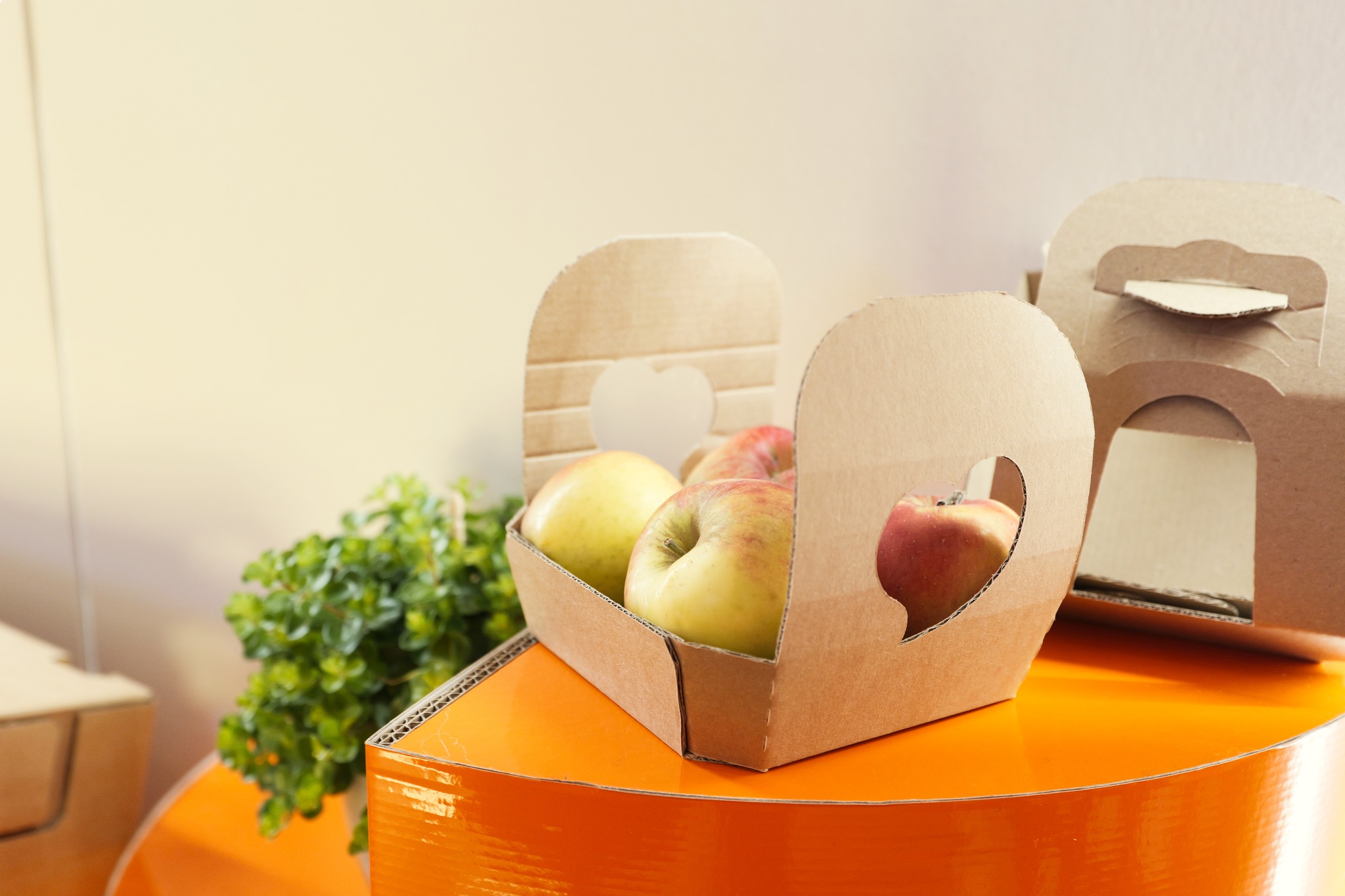 Panere DS Smith sustenabile și inovative pentru mere