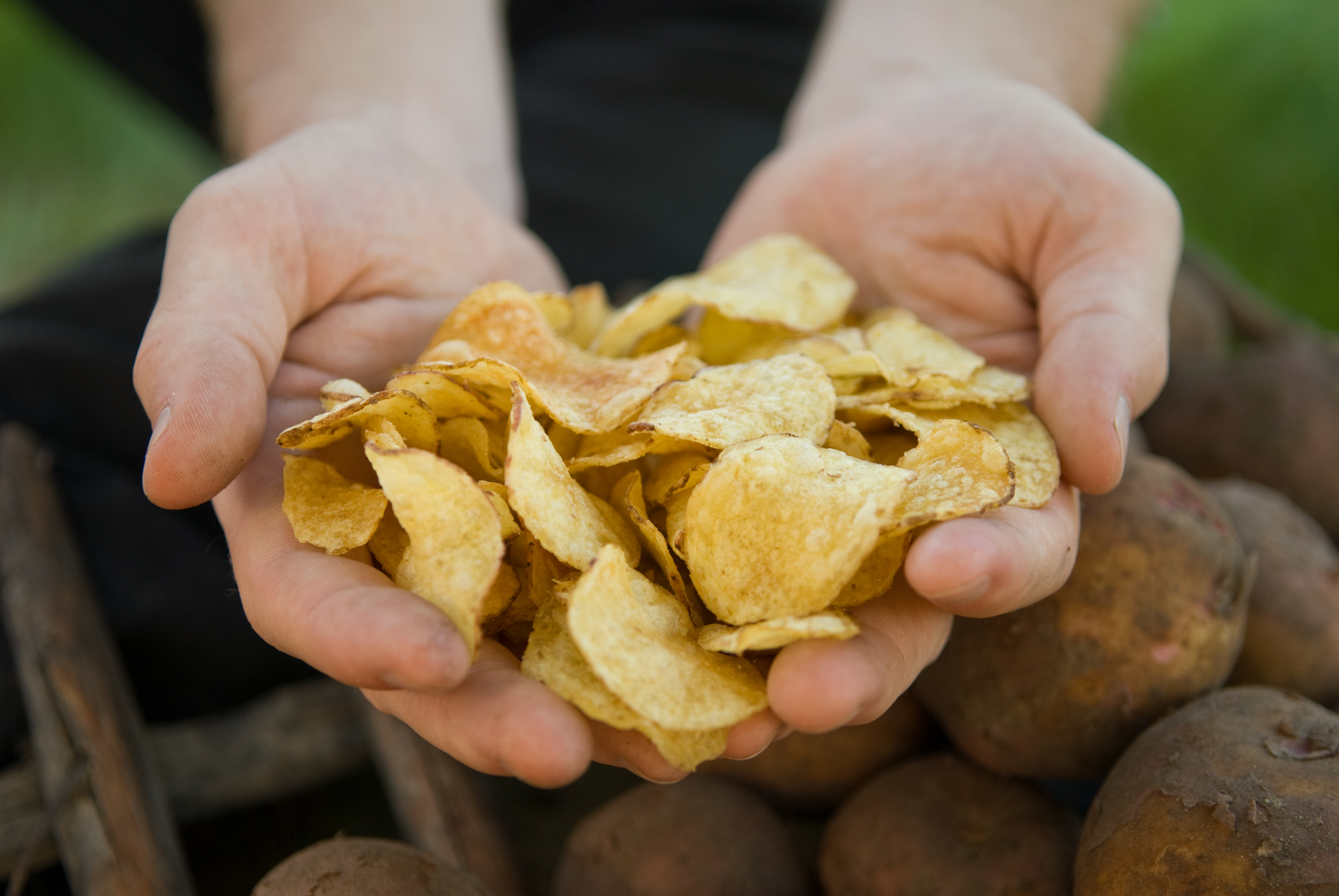 Svenska LantChips