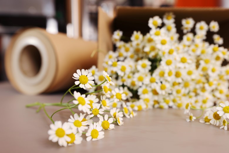 Could daisies be used as a raw material to design out problem plastics from carton, paper wrap and cardboard tray packaging?